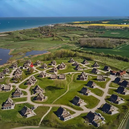 Reetdorf Geltinger Birk Kuenstlerkate Zwergbirke