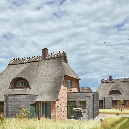 Feriehus Reetdorf Geltinger Birk Kuenstlerkate Zwergbirke *