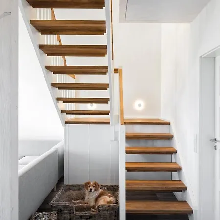 Reetdorf Geltinger Birk Kuenstlerkate Zwergbirke Feriehus